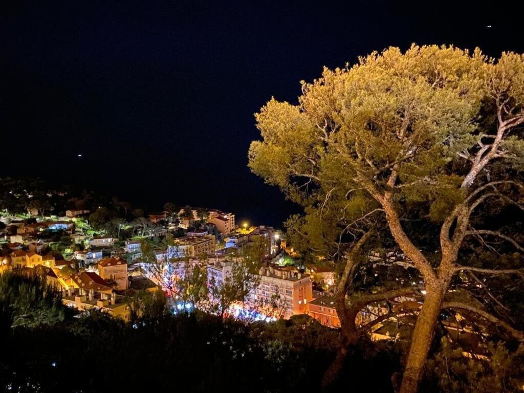 Apartamento LE COQ RIVIERA - Splendide vue ! Cap-d'Ail Exterior foto